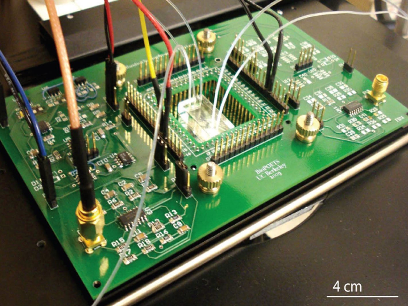 Electrophysiological Cell Sorting
